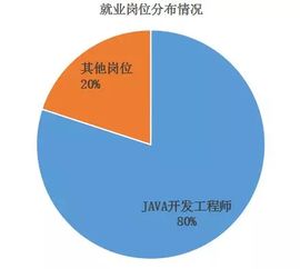 渤海大學(xué)中軟國(guó)際軟件與服務(wù)外包學(xué)院2018屆畢業(yè)生答辯圓滿結(jié)束
