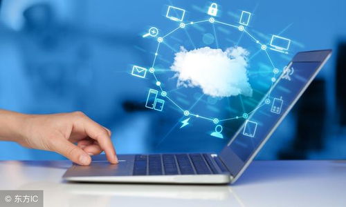 云計(jì)算 從網(wǎng)絡(luò)應(yīng)用模式到軟件外包服務(wù)的演化