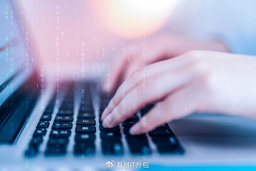 軟件開發板塊震蕩走強，IT運維外包迎發展新機遇