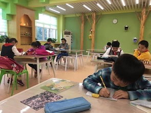 上海教育培訓(xùn)新風(fēng)向 職業(yè)技能培訓(xùn)成熱門趨勢(shì)，8684網(wǎng)助力企業(yè)精準(zhǔn)導(dǎo)航